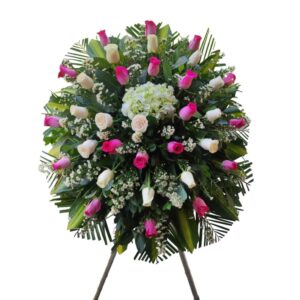 Lagrima fúnebre Dashiell