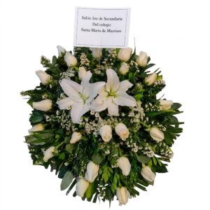 Lagrima fúnebre Didier