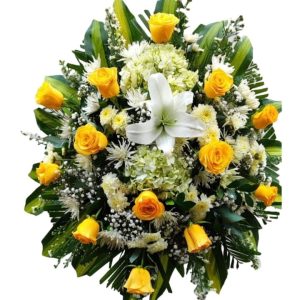 Lagrima fúnebre Dominique