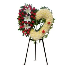 Corazón fúnebre Y1